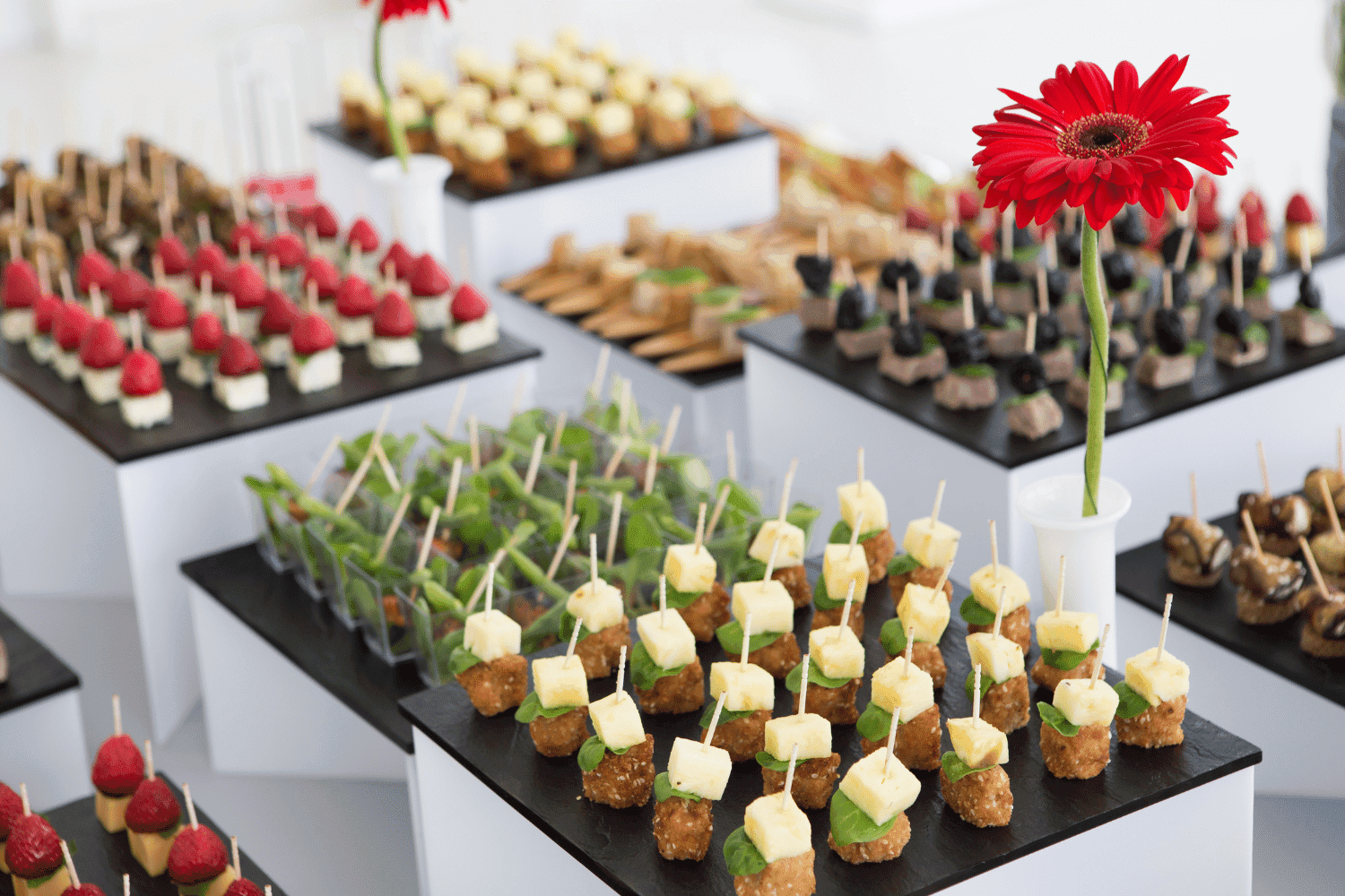 Buffet table with assorted canapés and a red flower centerpiece.